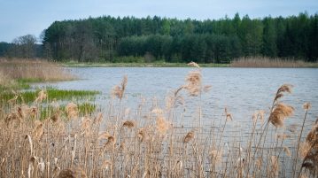 Miejsce gdzie chore dzieci i zmęczeni rodzice zdrowieją szybciej – Roztocze!