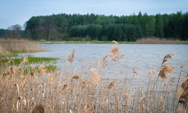 Miejsce gdzie chore dzieci i zmęczeni rodzice zdrowieją szybciej – Roztocze!