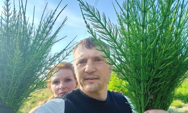 Zioła w leczeniu boreliozy